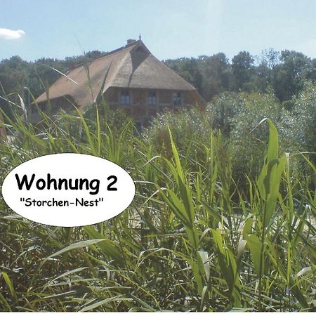Apartament Alte Schule Ludwigsburg Loissin Pokój zdjęcie
